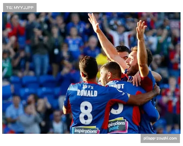 纽卡斯尔客场表现疲软 胜率不足三成防守漏洞明显 纽卡斯尔客场表现疲软 胜率不足三成防守漏洞明显